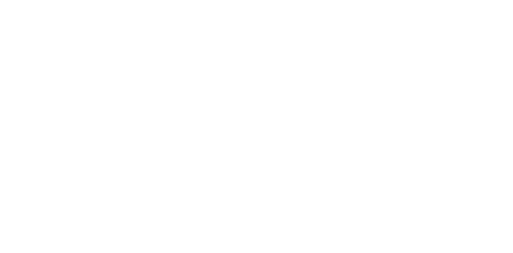 Cognifica